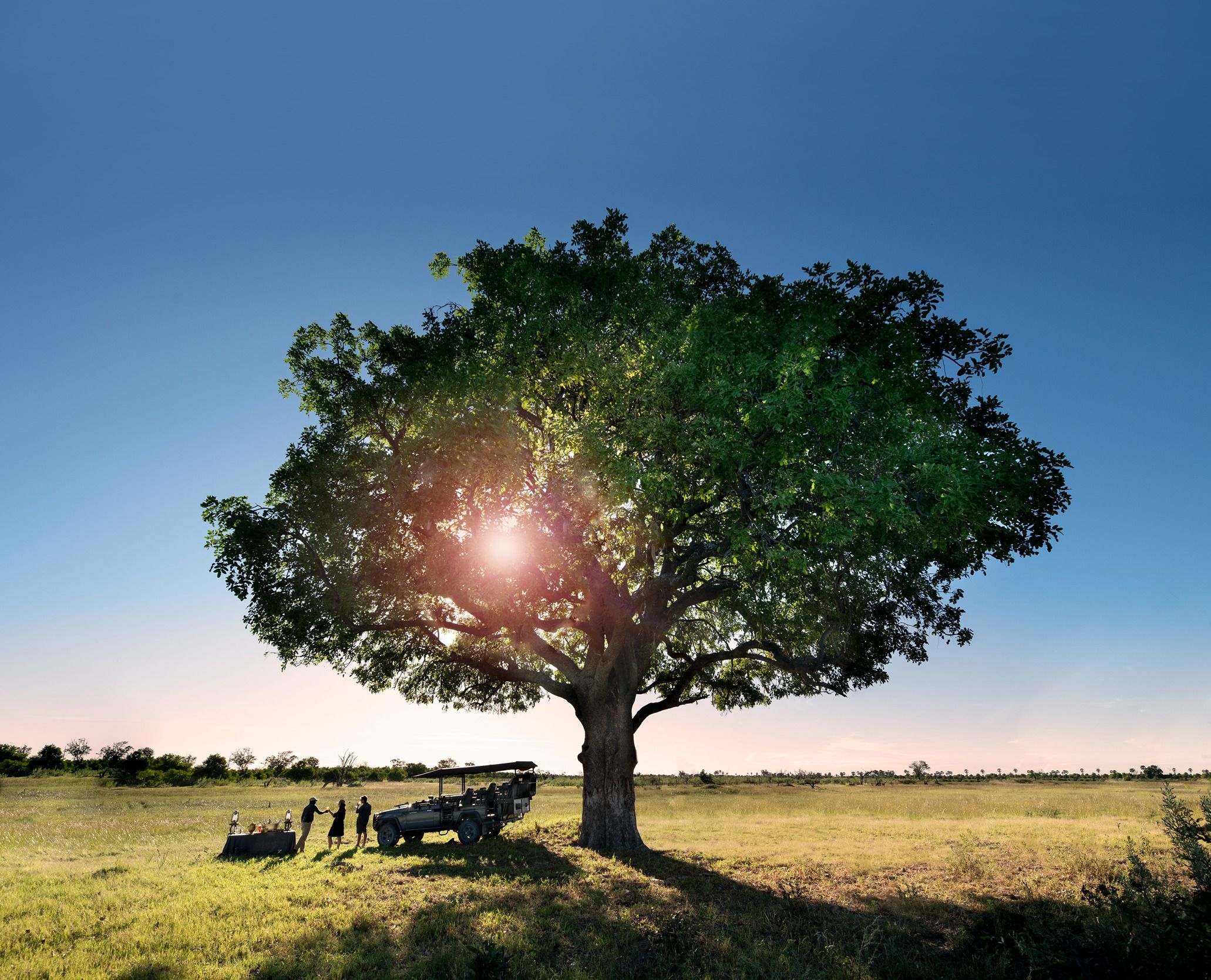 Animated Section Image