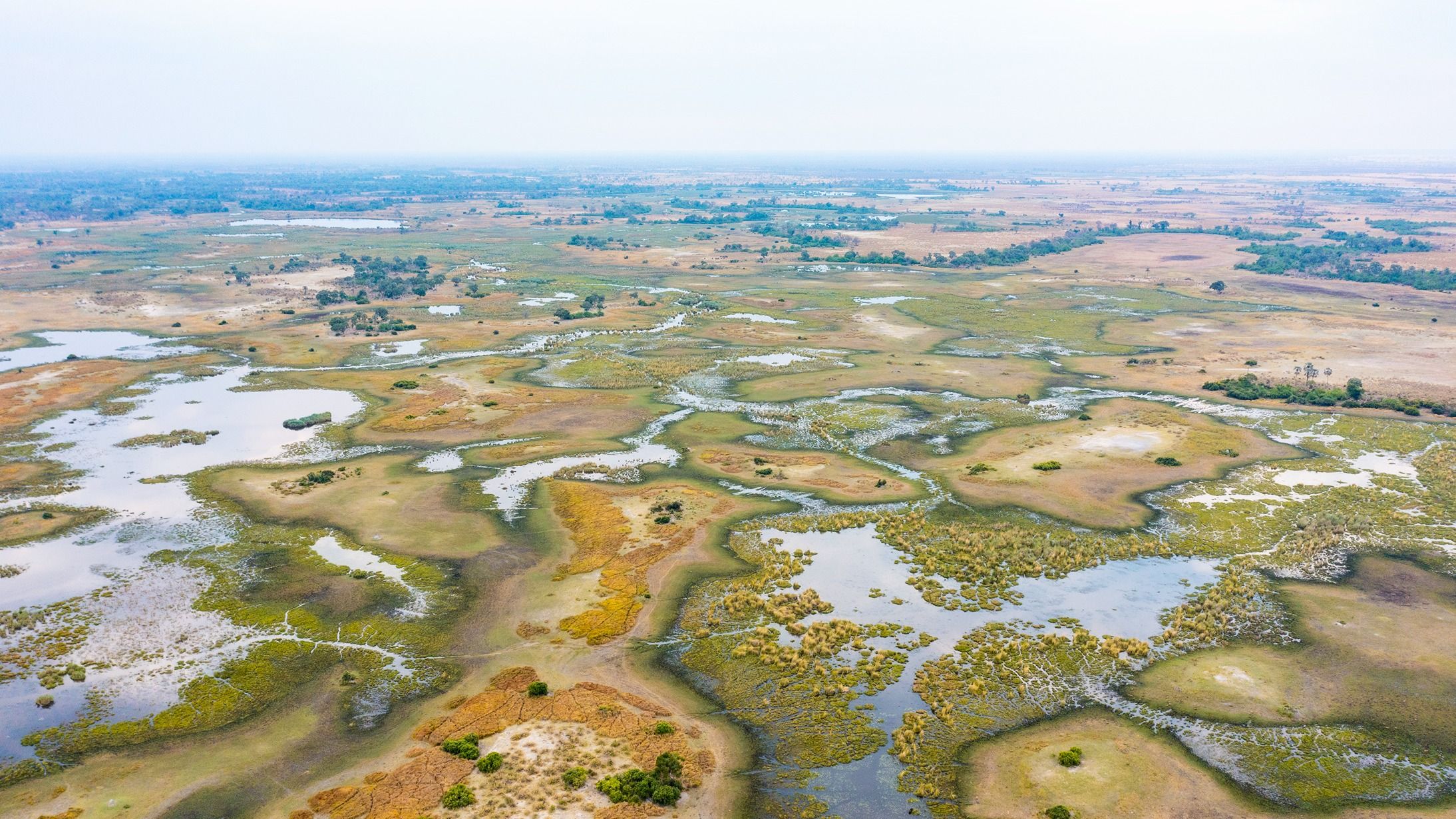 Animated Section Image