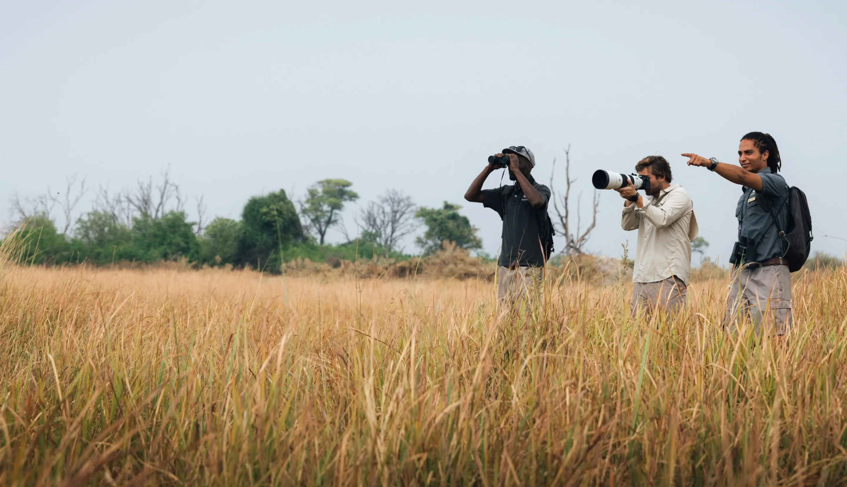 Guests on a safari at Daunara Safari Camp observing wildlife across the Okavango Delta grasslands and taking photos.