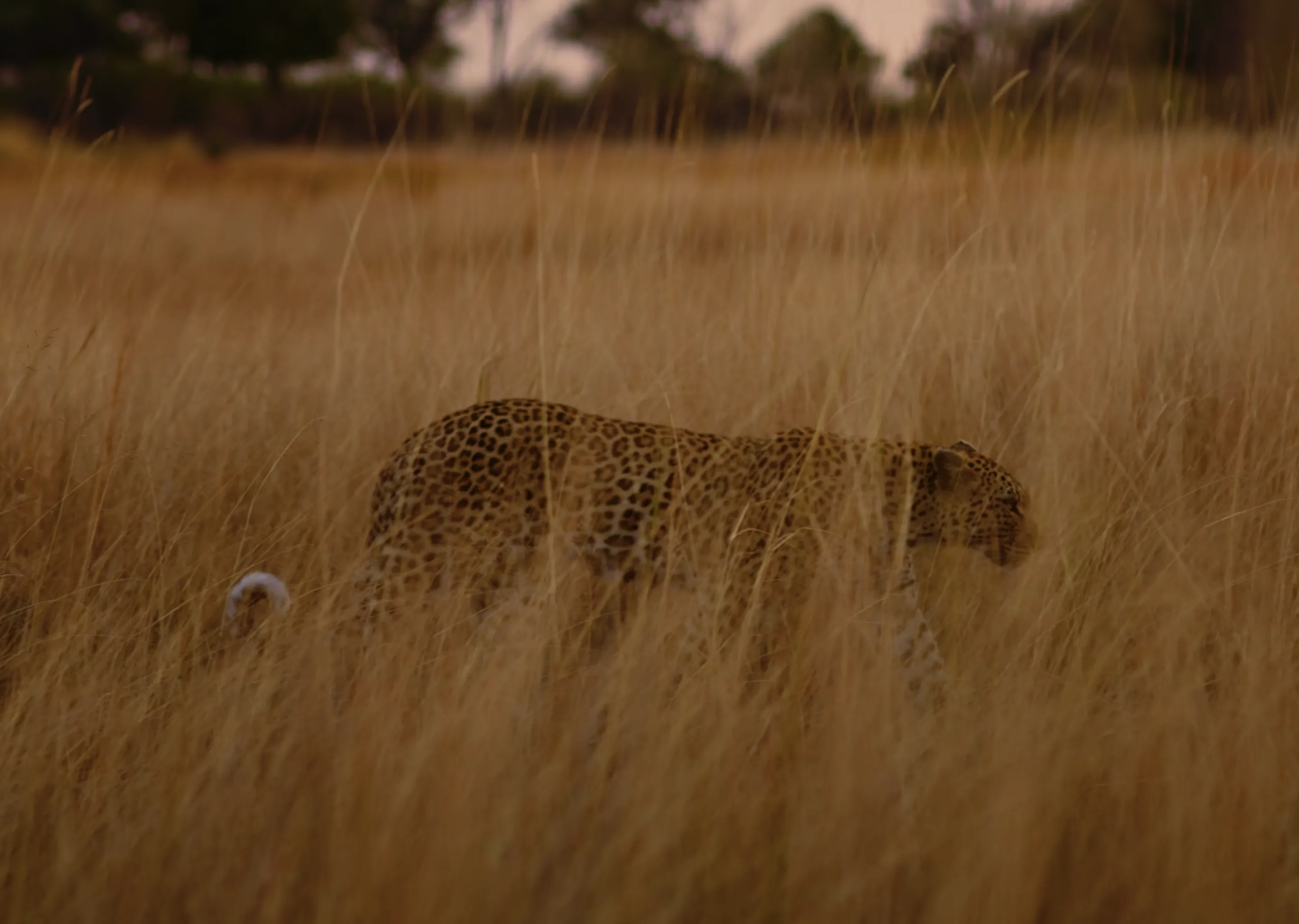 Thank You!  
We’ll be in touch!